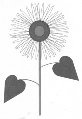 Sonnenblume - Sonnenblume, Blume, Spätsommer, Herbst, Korbblütler, Blüte, Stiel, Blätter, Illustration