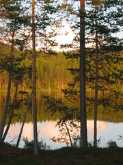 Spiegelung 1 - See, Wasser, Wald, Spiegelung, spiegeln, Schreibanlass