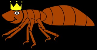 Ameisenkönigin #2 - Ameise, Insekt, Hautflügler, Ameisenkönigin