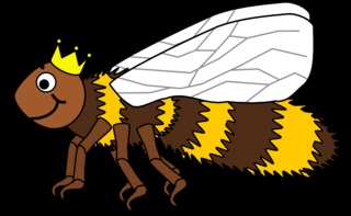 Bienenkönigin #2 - Biene, Insekt, Flügel, Hautflügel, Bienenkönigin, Wörter mit ie, Wörter mit ö