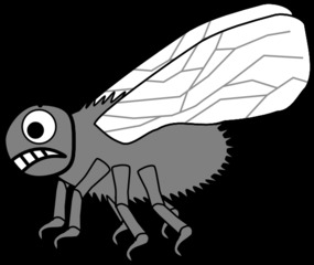 Fliege #2 - Fliege, Zweiflügler, Insekt, Sechsfüßer, Wörter mit ie