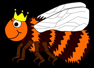 Hummelkönigin #2 - Hummel, Hautflügler, Insekt, Stechimme, Hummelkönigin