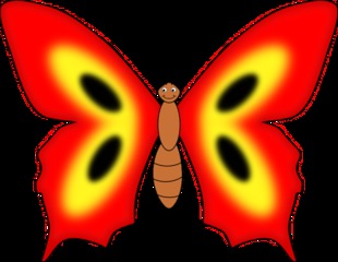 Schmetterling - Schmetterling, Falter, Flügel, Anlaut S, Anlaut Sch, Insekt, rot