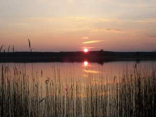 Sonnenuntergang am Drewitzer See - Drewitz, Drewitzer See, Sonnenuntergang, Schilf, Schilfgürtel, Spiegelung