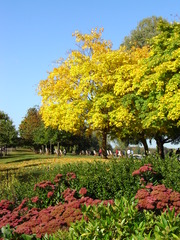 Hyde Park im Herbst - Hyde Park, Herbst, London, England, Park, Grünanlage, grüne Lunge