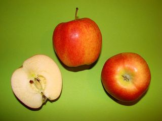 Äpfel - Äpfel, Apfel, Anlaut AE, Obst, Frucht, Royal Gala, rot, süß, Kernobst, Rosengewächs, Kerne, Kerngehäuse, Stiel, Samen