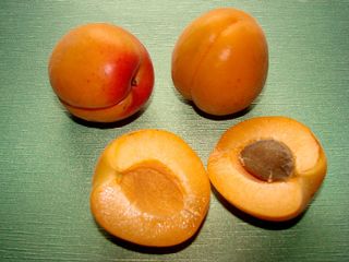 Aprikosen - Aprikose, Anlaut A, Obst, Marille, Rosengewächs, zweikeimblättrig, Kern, Frucht, süß, gelb, Stein, Samen, Hälfte, halbieren