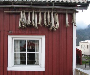 Stockfischaufbewahrung außen an einem norwegischen Haus - Stockfisch, Aufbewahrung, Konservierung, Norwegen, Lebensmittel, Haltbarmachung, trocknen, Trocknung, Entwässern, Trockenfisch