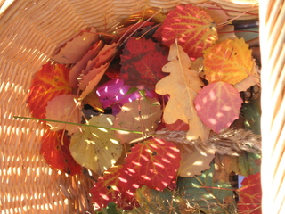 Herbstlaub - Herbst, Laub, Färbung, Farben, herbstlich, bunt, Jahreszeiten, Blätter