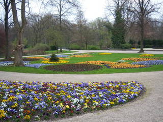 Blumenpracht Berlin Tiergarten - Berlin, Park, Parkanlage, Blumen, Frühling, Blumenbeet, Blumenrabatte, Frühblüher, Stiefmütterchen