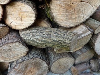Brennholz - Brennholz, Holz, Feuerholz, Trocknung, Lagerung