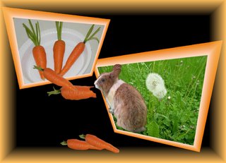 Aus dem Rahmen ... (3) - Kaninchen, Möhre, Effektbild