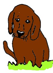Hund gemalt (bunt) - Hund, Säugetier, Haustier, Anlaut H, Illustration