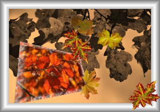 Aus dem Rahmen ... (6) - Collage, Perspektive, Herbst, Blätter, Effektbild