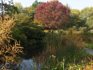 Herbststimmung #1 - Herbst, Herbststimmung, Herbstfarben, Farbe, rot, orange, braun, Natur, Garten, Park, Berggarten