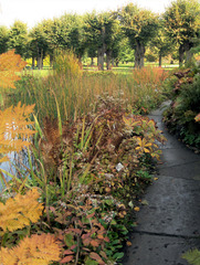 Herbststimmung #4 - Herbst, Herbststimmung, Herbstfarben, Farbe, rot, orange, braun, Natur, Garten, Park, Berggarten