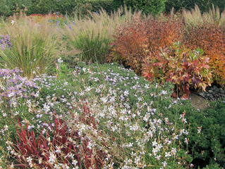 Herbststimmung #9 - Herbst, Herbststimmung, Herbstfarben, Farbe, rot, orange, braun, Natur, Garten, Park, Berggarten