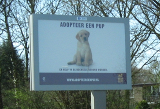 Werbeplakat in Holland - Bildersammlung, Fundgrube, Kurioses, Werbung, Tiere